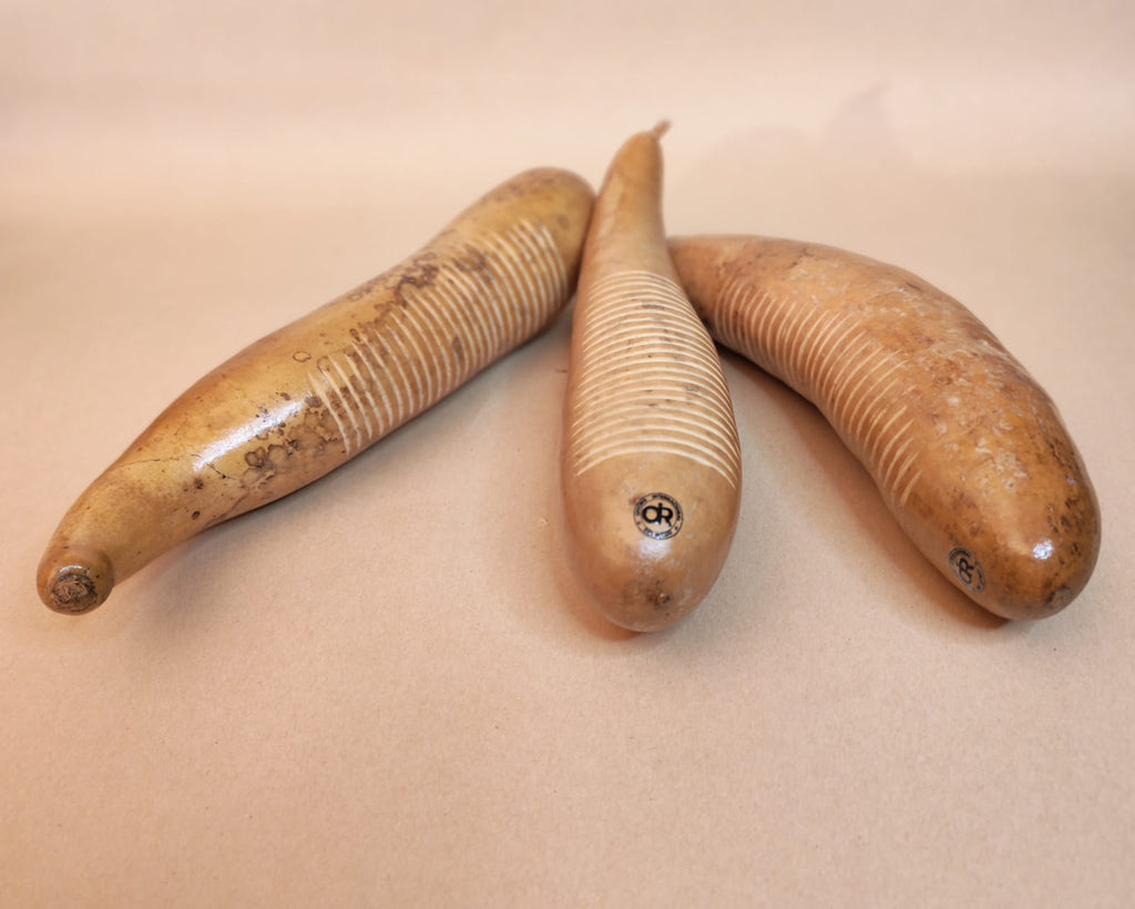 Huiro de Calabaza.
